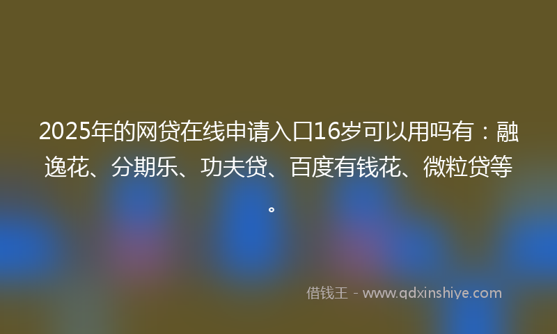 2025年的网贷在线申请入口16岁可以用吗有：融逸花、分期乐、功夫贷、百度有钱花、微粒贷等。