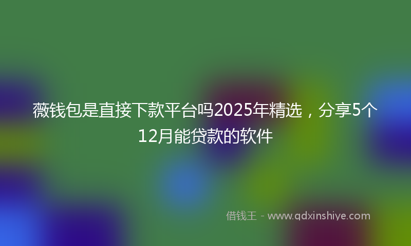 薇钱包是直接下款平台吗2025年精选，分享5个12月能贷款的软件