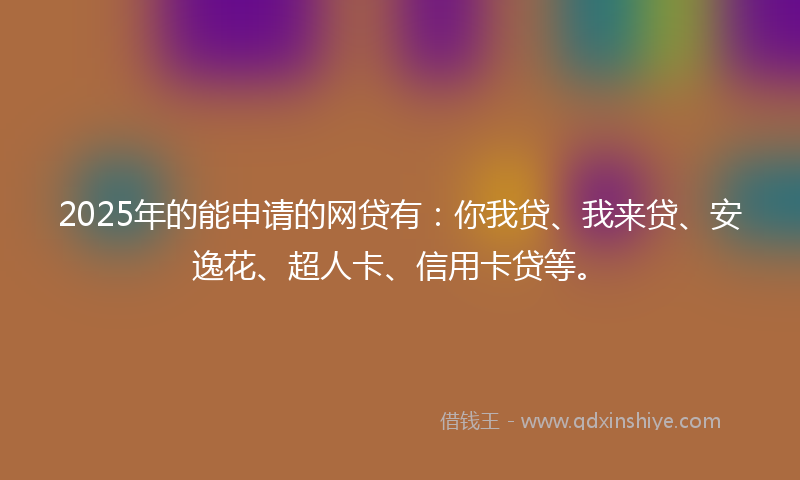 2025年的能申请的网贷有：你我贷、我来贷、安逸花、超人卡、信用卡贷等。