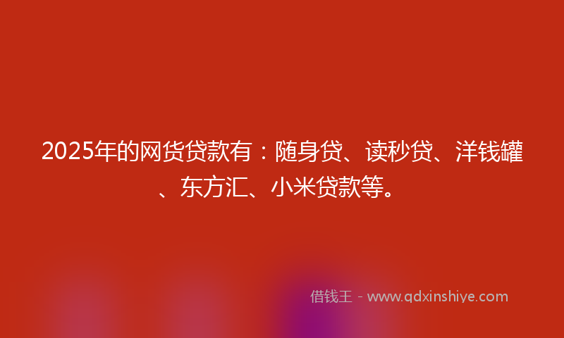 2025年的网货贷款有：随身贷、读秒贷、洋钱罐、东方汇、小米贷款等。
