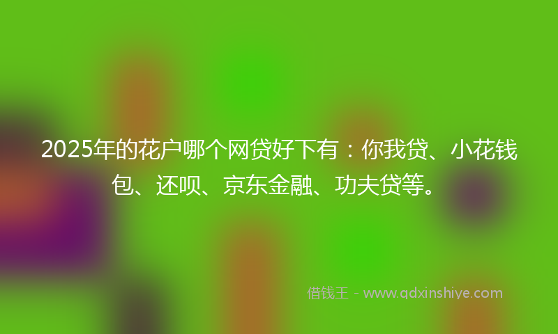 2025年的花户哪个网贷好下有：你我贷、小花钱包、还呗、京东金融、功夫贷等。