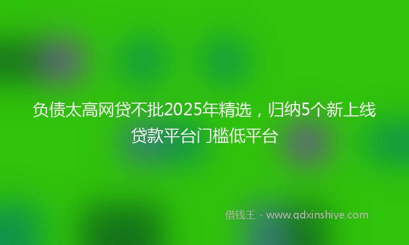 负债太高网贷不批2025年精选，归纳5个新上线贷款平台门槛低平台