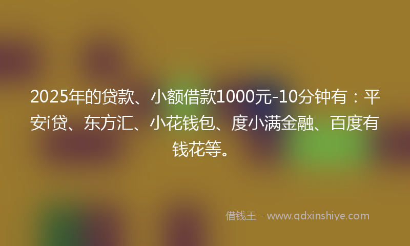 2025年的贷款、小额借款1000元-10分钟有：平安i贷、东方汇、小花钱包、度小满金融、百度有钱花等。