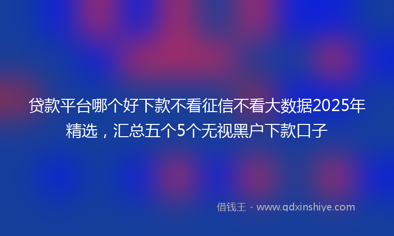 贷款平台哪个好下款不看征信不看大数据2025年精选，汇总五个5个无视黑户下款口子