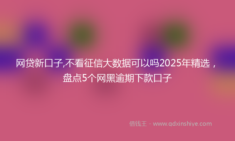 网贷新口子,不看征信大数据可以吗2025年精选，盘点5个网黑逾期下款口子