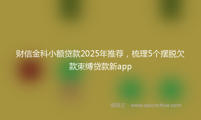 财信金科小额贷款2025年推荐，梳理5个摆脱欠款束缚贷款新app