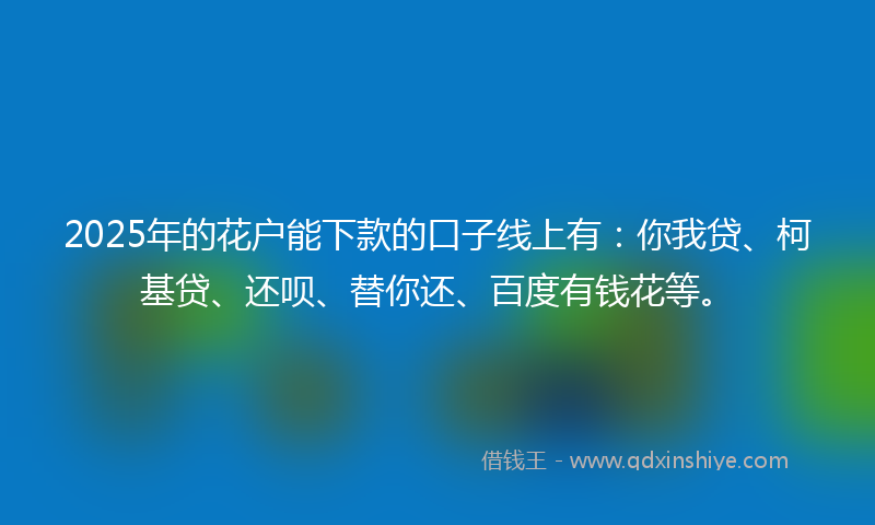 2025年的花户能下款的口子线上有：你我贷、柯基贷、还呗、替你还、百度有钱花等。