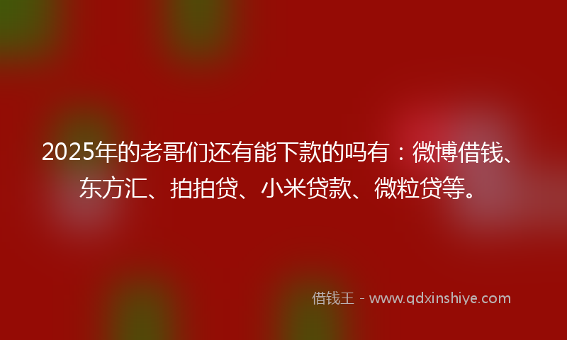 2025年的老哥们还有能下款的吗有：微博借钱、东方汇、拍拍贷、小米贷款、微粒贷等。