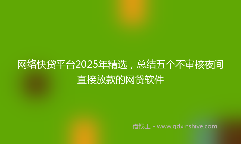 网络快贷平台2025年精选，总结五个不审核夜间直接放款的网贷软件