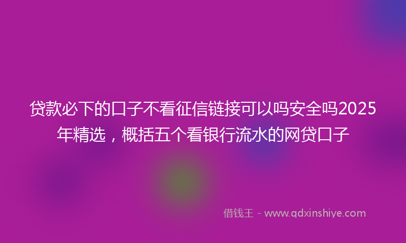 贷款必下的口子不看征信链接可以吗安全吗2025年精选，概括五个看银行流水的网贷口子
