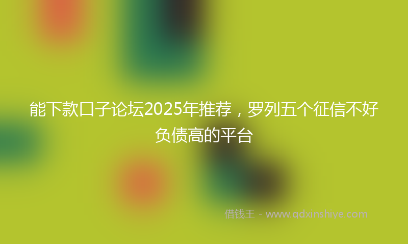 能下款口子论坛2025年推荐，罗列五个征信不好负债高的平台