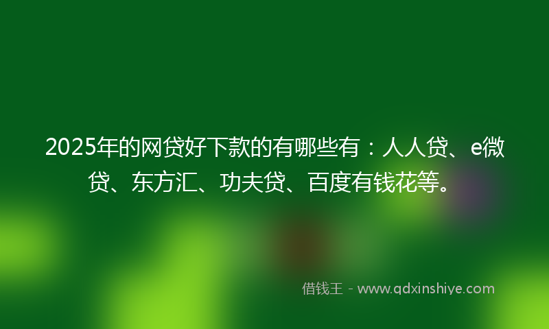 2025年的网贷好下款的有哪些有：人人贷、e微贷、东方汇、功夫贷、百度有钱花等。