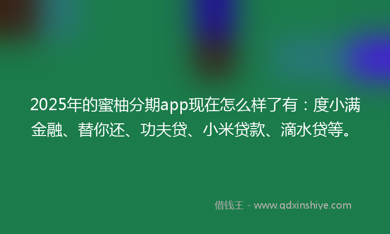 2025年的蜜柚分期app现在怎么样了有：度小满金融、替你还、功夫贷、小米贷款、滴水贷等。
