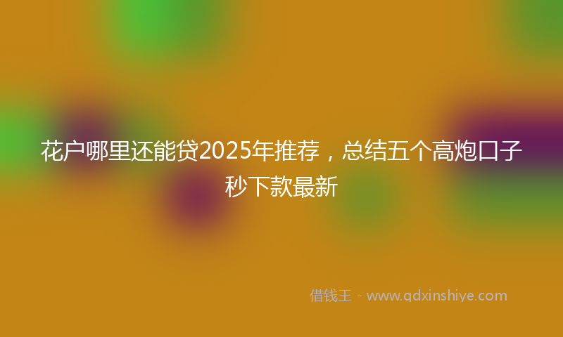 花户哪里还能贷2025年推荐，总结五个高炮口子秒下款最新