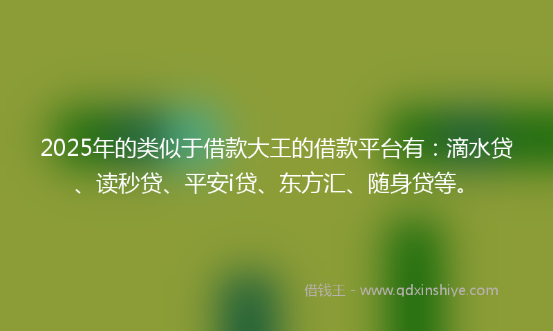 2025年的类似于借款大王的借款平台有：滴水贷、读秒贷、平安i贷、东方汇、随身贷等。