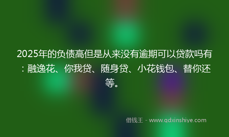 2025年的负债高但是从来没有逾期可以贷款吗有：融逸花、你我贷、随身贷、小花钱包、替你还等。