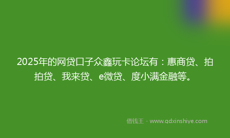 2025年的网贷口子众鑫玩卡论坛有：惠商贷、拍拍贷、我来贷、e微贷、度小满金融等。