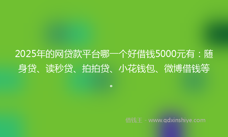2025年的网贷款平台哪一个好借钱5000元有：随身贷、读秒贷、拍拍贷、小花钱包、微博借钱等。