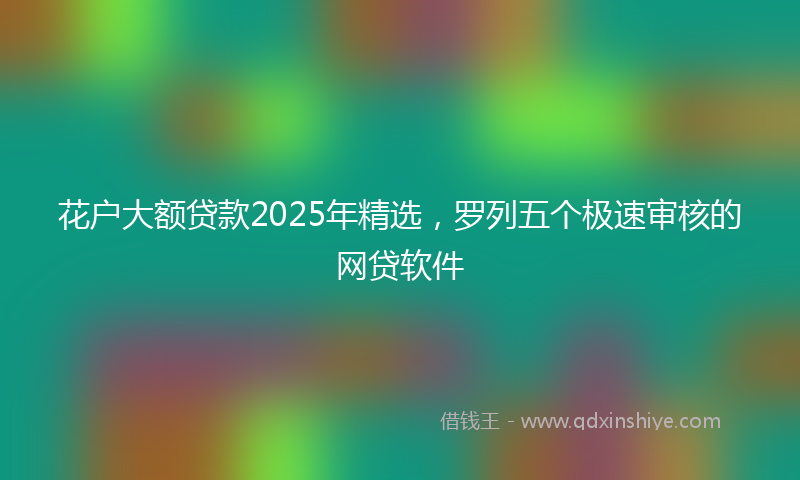 花户大额贷款2025年精选，罗列五个极速审核的网贷软件