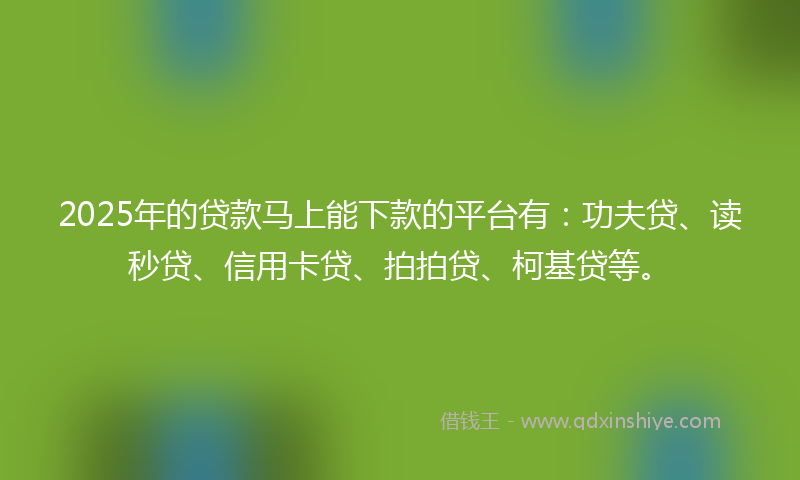 2025年的贷款马上能下款的平台有：功夫贷、读秒贷、信用卡贷、拍拍贷、柯基贷等。