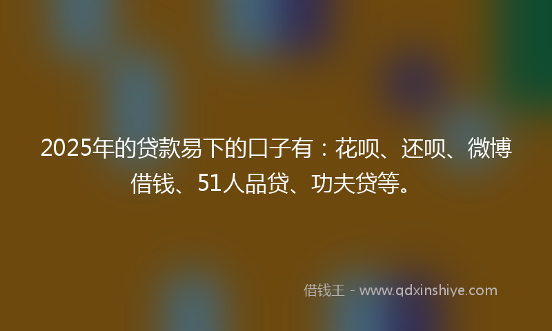 2025年的贷款易下的口子有：花呗、还呗、微博借钱、51人品贷、功夫贷等。
