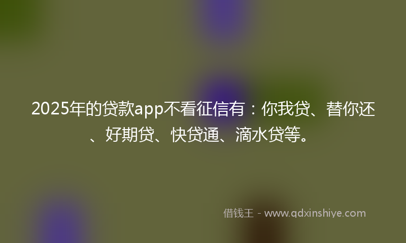 2025年的贷款app不看征信有：你我贷、替你还、好期贷、快贷通、滴水贷等。