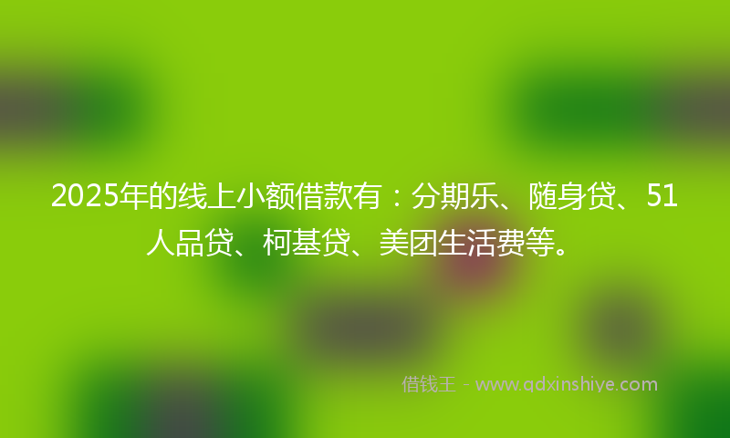 2025年的线上小额借款有：分期乐、随身贷、51人品贷、柯基贷、美团生活费等。