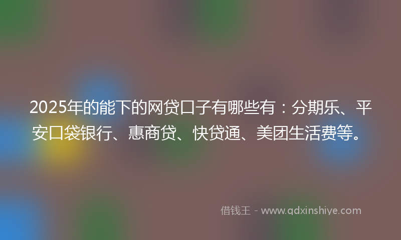 2025年的能下的网贷口子有哪些有：分期乐、平安口袋银行、惠商贷、快贷通、美团生活费等。