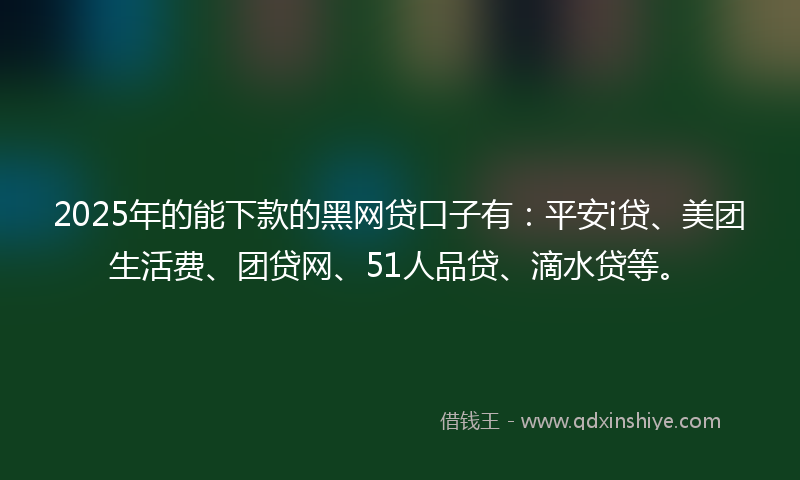 2025年的能下款的黑网贷口子有：平安i贷、美团生活费、团贷网、51人品贷、滴水贷等。