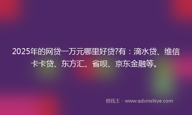 2025年的网贷一万元哪里好贷?有：滴水贷、维信卡卡贷、东方汇、省呗、京东金融等。