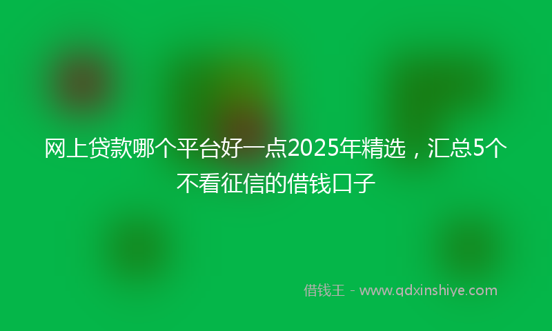 网上贷款哪个平台好一点2025年精选，汇总5个不看征信的借钱口子