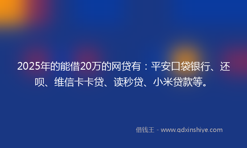 2025年的能借20万的网贷有：平安口袋银行、还呗、维信卡卡贷、读秒贷、小米贷款等。