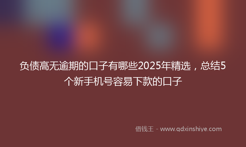 负债高无逾期的口子有哪些2025年精选，总结5个新手机号容易下款的口子