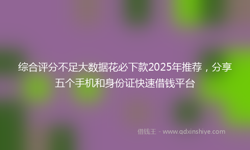 综合评分不足大数据花必下款2025年推荐，分享五个手机和身份证快速借钱平台