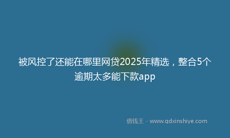 被风控了还能在哪里网贷2025年精选，整合5个逾期太多能下款app