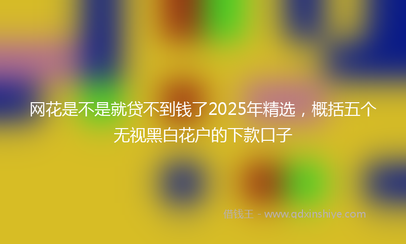 网花是不是就贷不到钱了2025年精选，概括五个无视黑白花户的下款口子