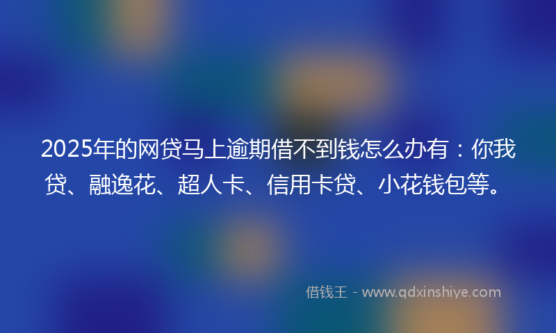 2025年的网贷马上逾期借不到钱怎么办有：你我贷、融逸花、超人卡、信用卡贷、小花钱包等。