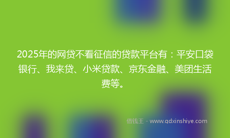 2025年的网贷不看征信的贷款平台有：平安口袋银行、我来贷、小米贷款、京东金融、美团生活费等。