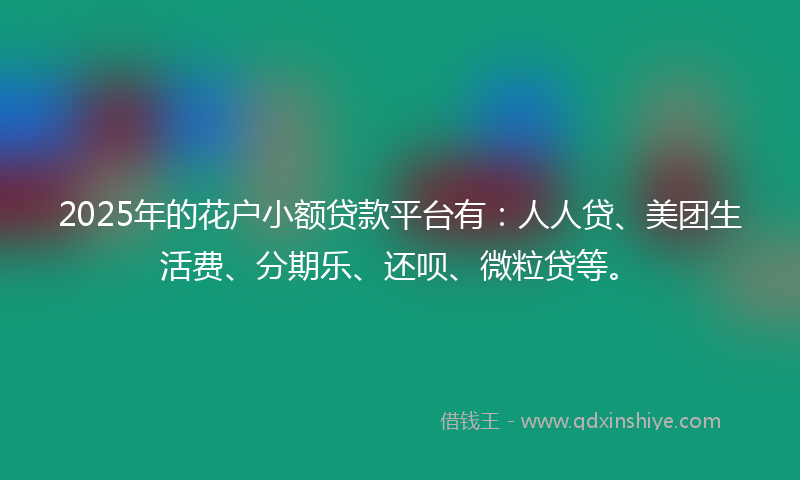 2025年的花户小额贷款平台有：人人贷、美团生活费、分期乐、还呗、微粒贷等。