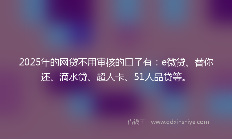 2025年的网贷不用审核的口子有：e微贷、替你还、滴水贷、超人卡、51人品贷等。