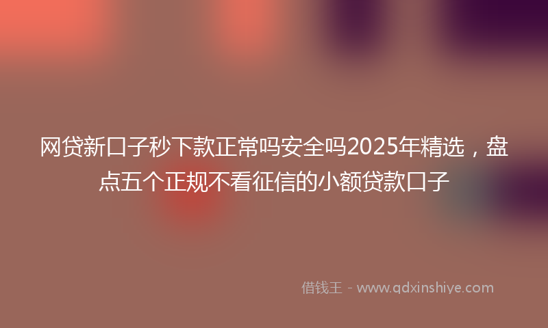 网贷新口子秒下款正常吗安全吗2025年精选，盘点五个正规不看征信的小额贷款口子