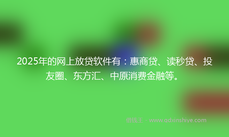 2025年的网上放贷软件有：惠商贷、读秒贷、投友圈、东方汇、中原消费金融等。