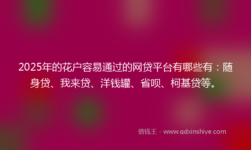 2025年的花户容易通过的网贷平台有哪些有：随身贷、我来贷、洋钱罐、省呗、柯基贷等。