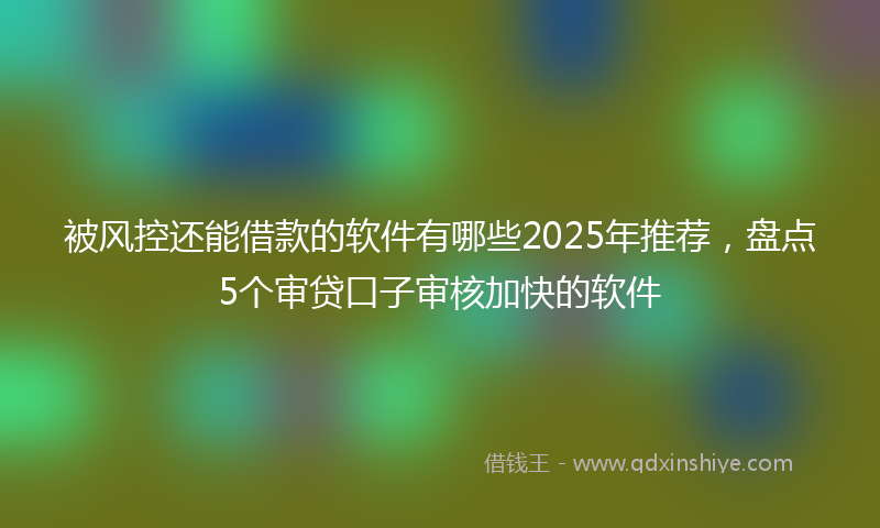 被风控还能借款的软件有哪些2025年推荐，盘点5个审贷口子审核加快的软件