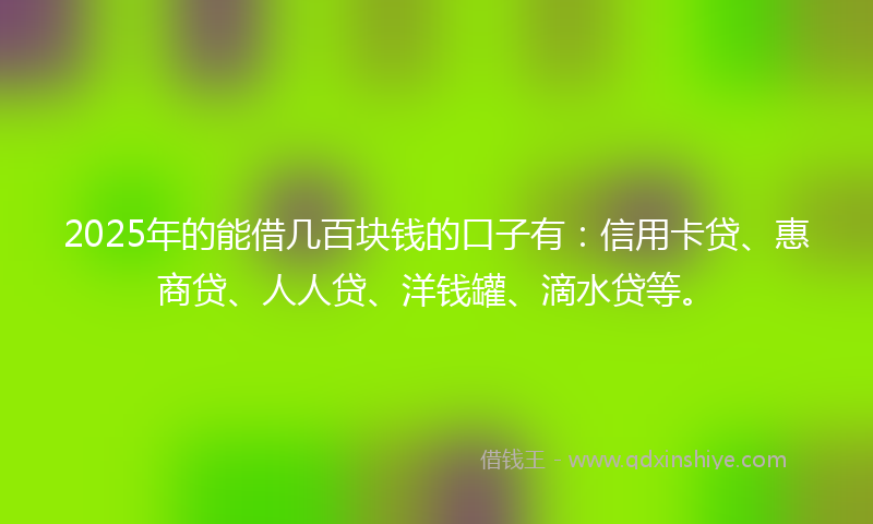 2025年的能借几百块钱的口子有:信用卡贷、惠商贷、人人贷、洋钱罐、滴水贷等。