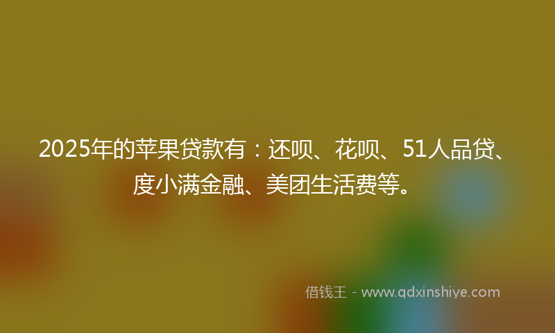 2025年的苹果贷款有：还呗、花呗、51人品贷、度小满金融、美团生活费等。
