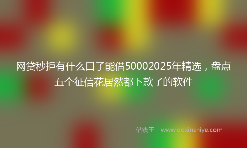 网贷秒拒有什么口子能借50002025年精选，盘点五个征信花居然都下款了的软件
