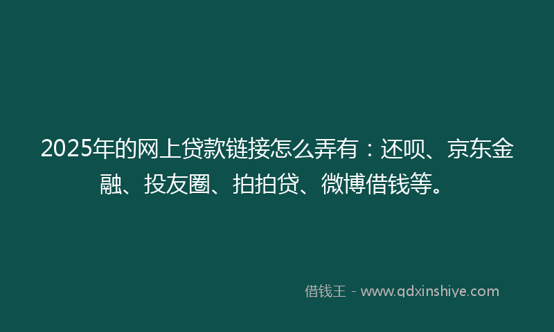 2025年的网上贷款链接怎么弄有：还呗、京东金融、投友圈、拍拍贷、微博借钱等。