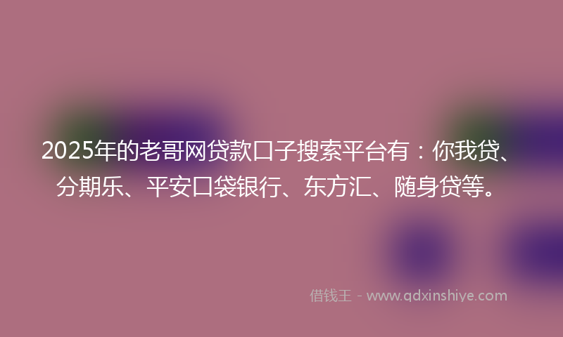 2025年的老哥网贷款口子搜索平台有：你我贷、分期乐、平安口袋银行、东方汇、随身贷等。