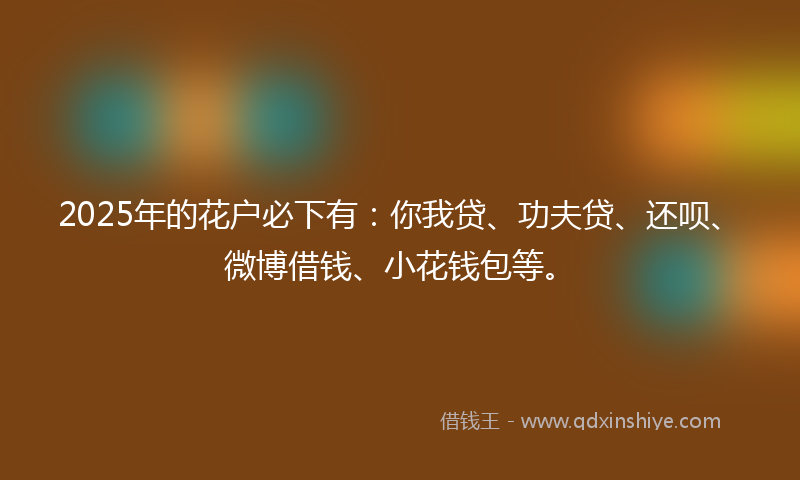 2025年的花户必下有：你我贷、功夫贷、还呗、微博借钱、小花钱包等。